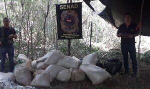 Fiscal cree que muchos caciques alquilan la tierra a gente que cultiva marihuana - Megacadena — Últimas Noticias de Paraguay