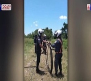 Rateros dejan a oscuras la Costanera Norte - Paraguay.com