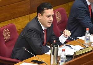 Rodolfo Friedmann presentó al senado la denuncia de los artistas y pide informe a APA - Te Cuento Paraguay