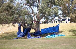 Tragedia en Australia: cinco niños murieron tras accidente en globo loco