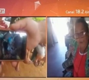 ¡Insólito! Can es denunciado por vecinos en Carapeguá - Paraguay.com
