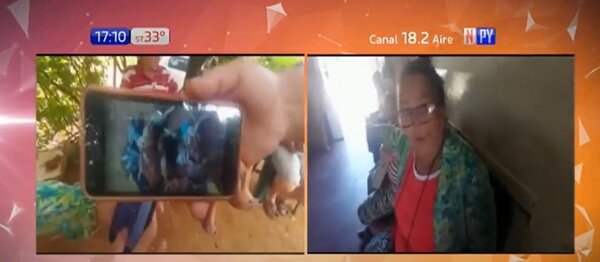Llamativa denuncia contra un perro en Carapeguá | Noticias Paraguay