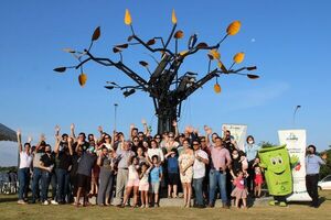 Habilitan árbol navideño “ecológico” en Hernandarias - ABC en el Este - ABC Color