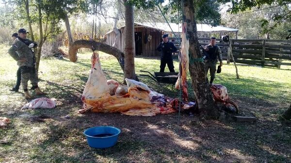 Aumentan los casos de abigeatos en Alto Paraná  - ABC en el Este - ABC Color