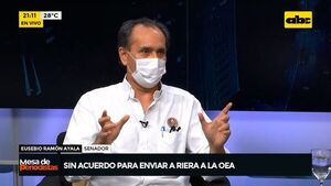 Posicionamiento de Riera influyó en la falta de votos para su designación como embajador, dicen - Nacionales - ABC Color