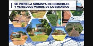 Senabico remata este sábado una exestancia de narco y otros bienes comisados del crimen organizado - Nacionales - ABC Color