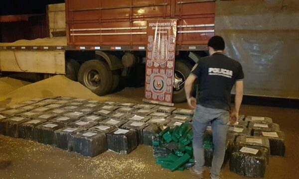 Más de 1.600 kilos de marihuana ocultas entre maíz