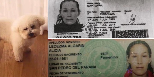 ARGENTINA: ITAPUENSE SE ROBÓ HASTA EL PERRO DE LA FAMILIA PARA LA QUE TRABAJABA - Itapúa Noticias