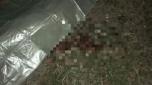 Matan a cuchillazos a una mujer: su cuerpo estaba tirado en un pastizal