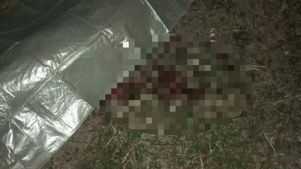 Matan a cuchillazos a una mujer: su cuerpo estaba tirado en un pastizal