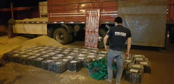 Hallan más de 1.500 kilos de marihuana entre granos de maíz - La Clave