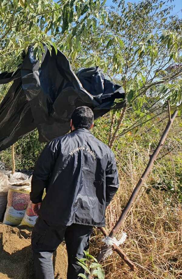 CONTINÚAN CON LA DESTRUCCIÓN DE CAMPAMENTOS Y PLANTACIONES EN BELLA VISTA - El Observador