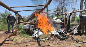 Destruyen campamento y plantaciones de marihuana en Bella Vista - Noticiero Paraguay