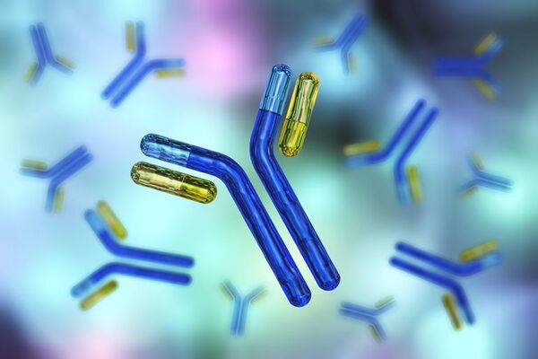 Los anticuerpos, claves en el sistema inmunológico para combatir al covid - Ciencia - ABC Color