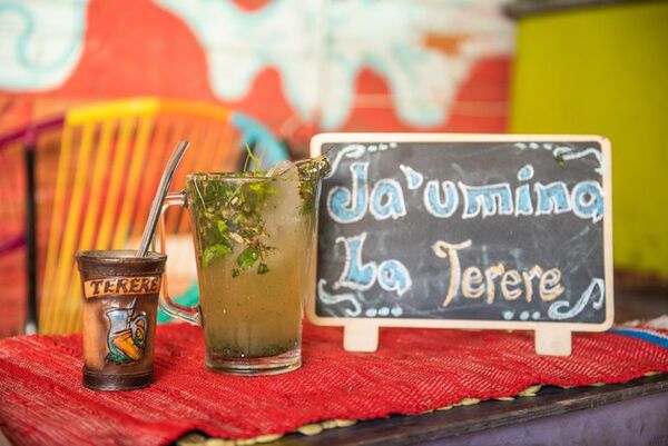 Remedios yuyos ideales para superar resaca por fiestas de fin de año - Nacionales - ABC Color
