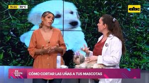 ¿Tenes mascotas y no sabes cómo cortarle las uñas? ¡Aquí te contamos! - Ensiestados - ABC Color