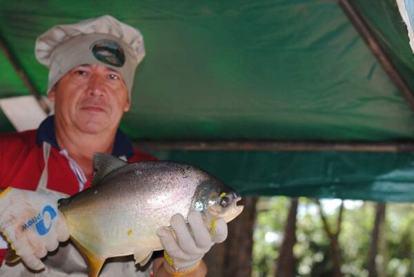 Exitoso primer Festival del Pescado en Alto Paraná - ABC en el Este - ABC Color
