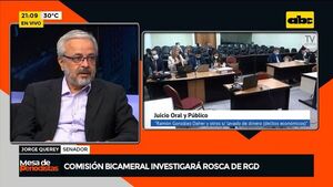 Jorge Querey sobre comisión bicameral: “A  nosotros no nos va a temblar la mano” - Nacionales - ABC Color