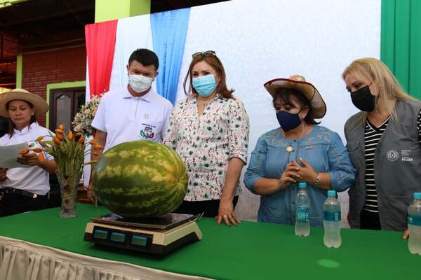 Sandía de 24 kilos es la ganadora de la Expo Sandía de Tavapy - La Clave