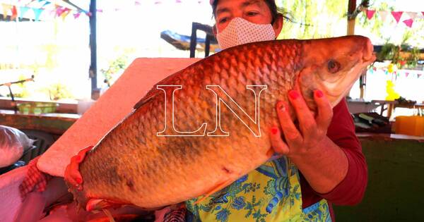 La Nación / Ofertan pescados en Remanso tras levantamiento de veda