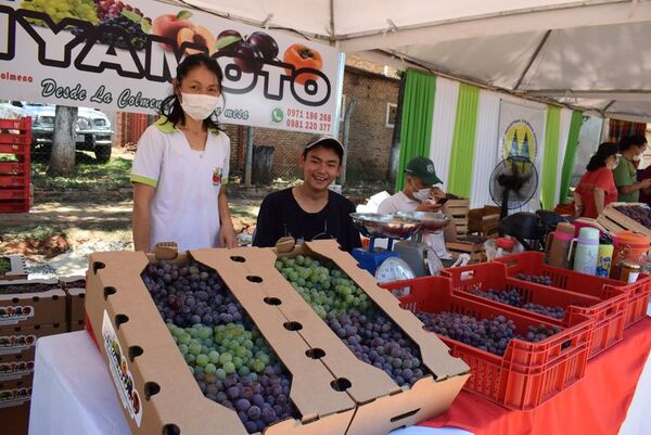 Productores reclaman asistencia económica e insumos para aumentar producción en La Colmena - Nacionales - ABC Color