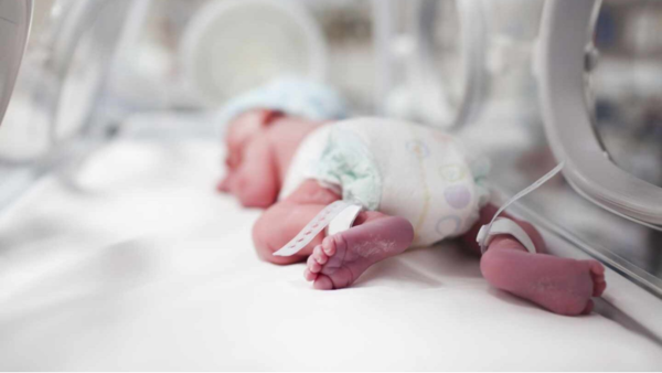 Celebran cierre de año con donaciones a familias prematuras - El Independiente