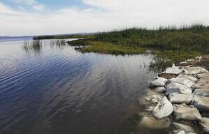 Hace un año se mantiene el nivel del agua de lago Ypacaraí