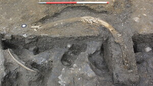 Descubren restos de 5 mamuts de la Edad de Hielo y herramientas hechas por neandertales - Megacadena — Últimas Noticias de Paraguay