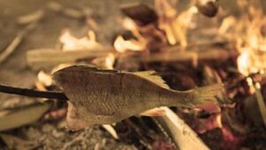 El hombre ya comía carne de animales hace 1,2 millones de años