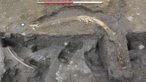 Descubren en Reino Unido los restos de al menos 5 mamuts de la Edad de Hielo
