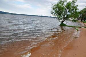 Aumentó contaminación del Lago Ypacaraí, pero aún 'no es alarmante'