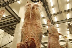 Clasificación y tipificación de carne empezará a implementarse en el 2022