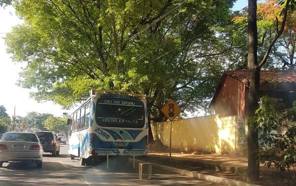 Fiscal dice que liberó al chofer que golpeó a su pareja e hijastro porque no hubo «suficientes elementos»