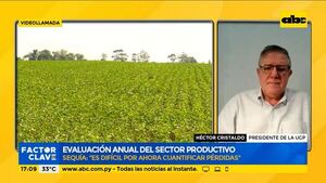 Productores están preocupados por la afectación de la sequía en los cultivos - Factor Clave - ABC Color