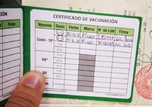 ¿Cómo hacer para reimprimir el carnet de vacunación COVID en caso de perderlo?