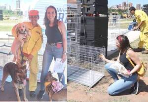 Crónica / Concejala “gastó” su primer sueldo en jaulas para rescatar a callejeros