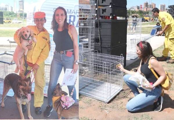 Crónica / Concejala “gastó” su primer sueldo en jaulas para rescatar a callejeros
