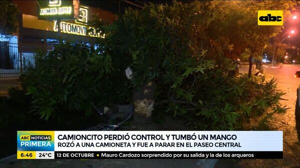 Camioncito perdió el control, chocó y tumbó un árbol de mango - ABC Noticias - ABC Color