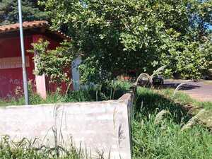 Vergüenza colorada: Sucio y abandonado está de subseccional en Villa Universitaria » San Lorenzo PY