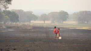 Informe concluye que agosto fue el mes con más focos de calor en 2021