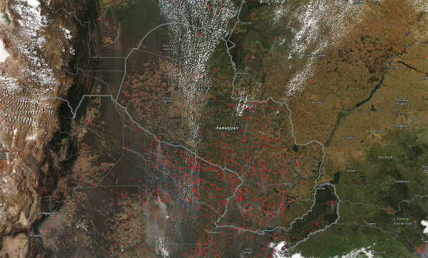 Mades: En el 2021 se registraron casi 150 mil focos de calor