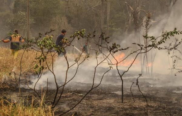 En el 2021 se detectaron casi 150 mil focos de calor a nivel país