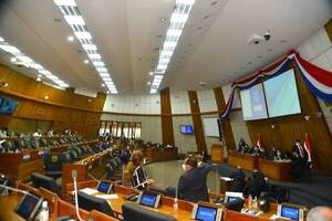 Diputados colorados pretenden convertir en asiduas las sesiones virtuales, denuncia Kattya