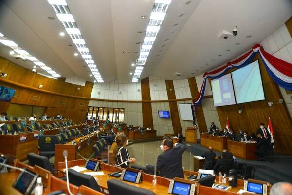 Diputados colorados pretenden convertir en asiduas las sesiones virtuales, denuncia Kattya