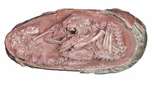 Huevo de dinosaurio refuerza teoría de relación con las aves