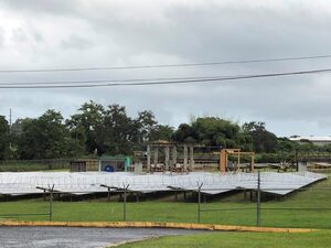 Agricultura vs. energía solar, un dilema en Puerto Rico - MarketData