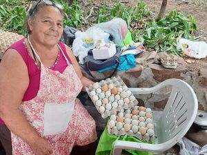 Feria con productos del campo y artesanías para está Navidad, en la Plaza Italia   - Nacionales - ABC Color
