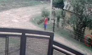 A plena luz del día hurtan motocicleta en Coronel Oviedo – Prensa 5