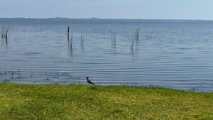 Pobladores piden suspensión de relleno que afecta a humedales de Lago Ypacaraí
