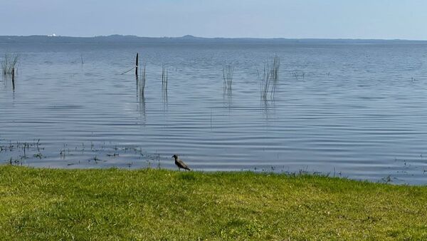 Pobladores piden suspensión de relleno que afecta a humedales de Lago Ypacaraí